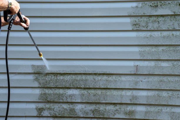 Affordable Siding Repair and Maintenance Services in Olivette, MO